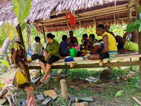 rumah kebun Bapak Barnabas di lahan kakao